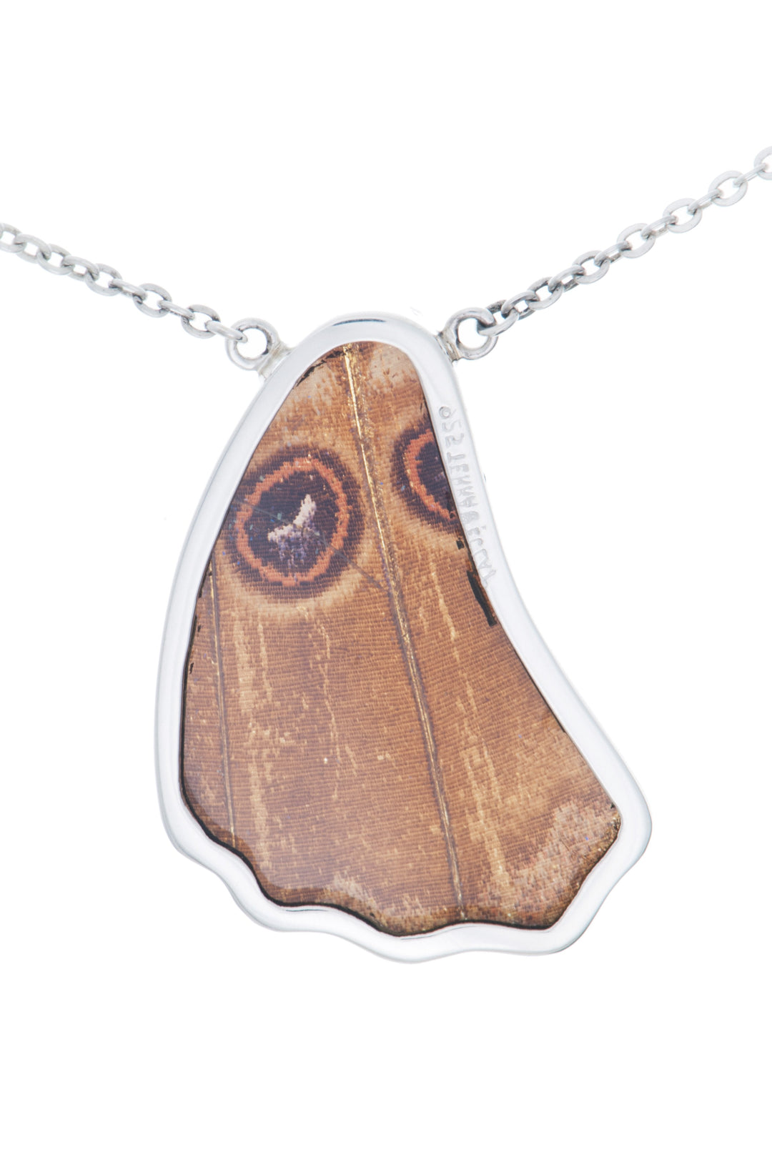 15--A-SC-1B-Silver-butterfly-necklace-Iridescent-Blue-Wing-Shaped-Morpho-Didius