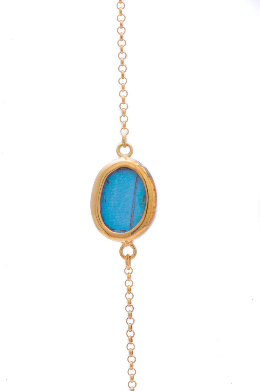 1-Real Butterfly Wings-A-SC-O1-Gold-butterfly-bracelet-Iridescent-Blue-Oval-Morpho-Didius