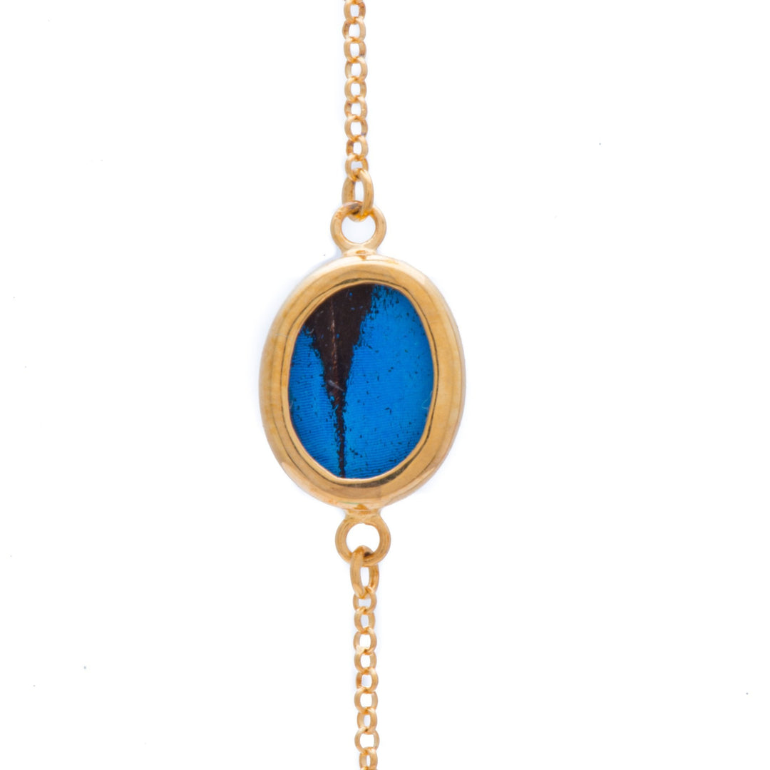 1-Real Butterfly Wings-A-SC-O1-Gold-butterfly-bracelet-Royal-Blue-Oval-Papilio-Ulysses