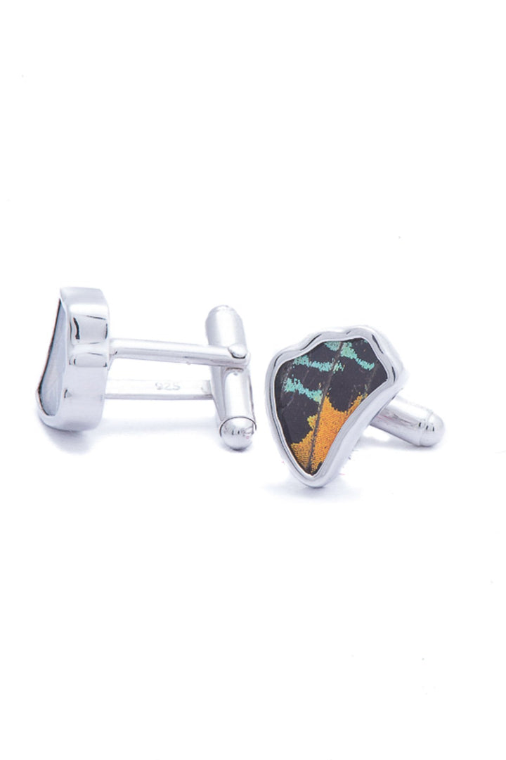 2--A-SA-1B-Silver-butterfly-cufflinks-Shimmering-Rainbow-Wing-Shaped-Chrysiridia-Madagascariensis-Bottom-wing