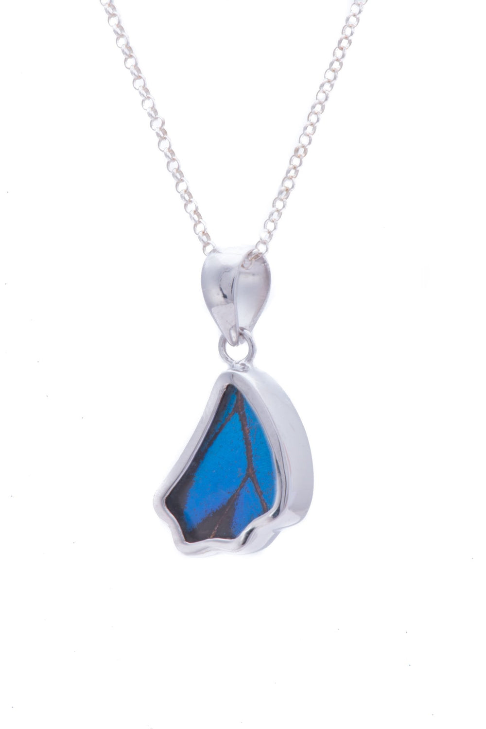 2--A-SB-1B-Silver-butterfly-pendant-Royal-Blue-Wing-Shaped-Papilio-Ulysses