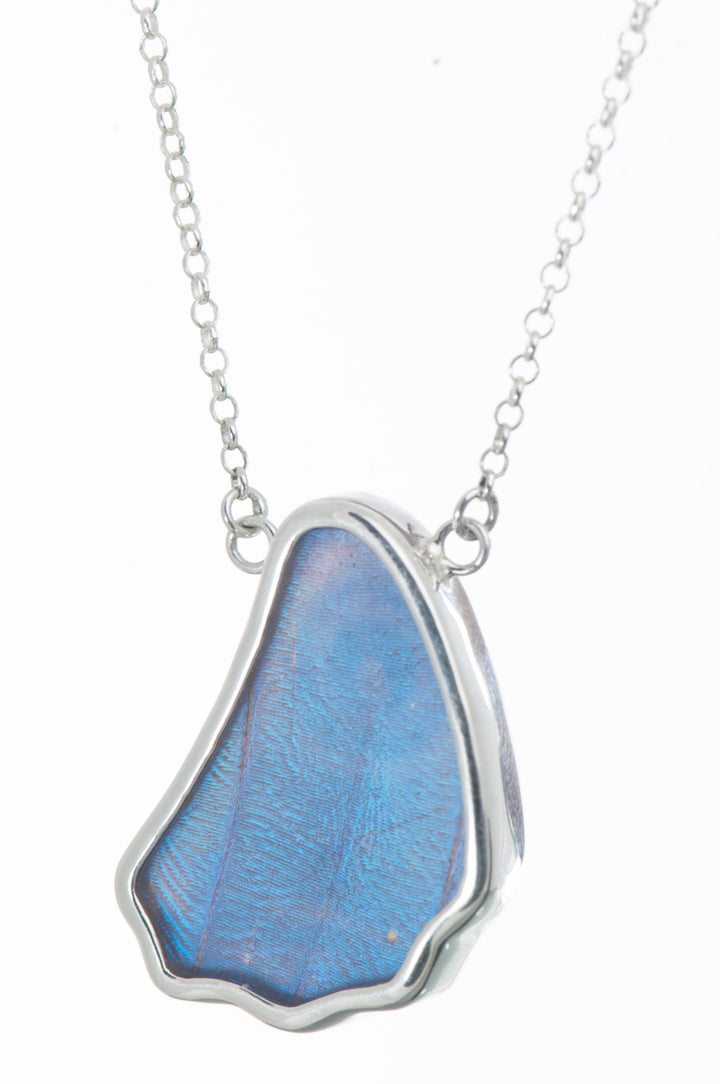 11--A-SC-1B-Silver-butterfly-necklace-Iridescent-Blue-Wing-Shaped-Morpho-Didius