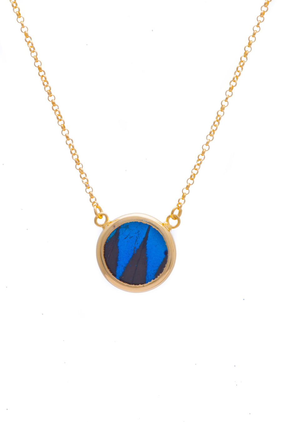 1-Real Butterfly Wings-A-SC-C1-Gold-butterfly-necklace-Royal-Blue-Circle-Papilio-Ulysses