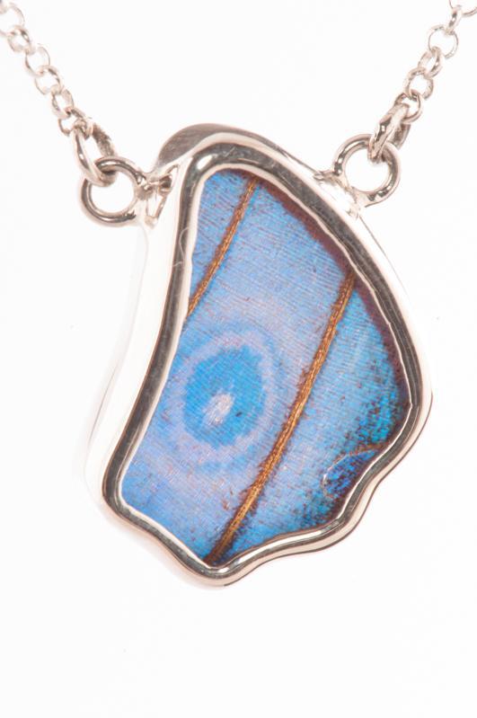 1-Real Butterfly Wings-A-SC-1B-Silver-butterfly-necklace-Iridescent-Blue-Wing-Shaped-Morpho-Didius