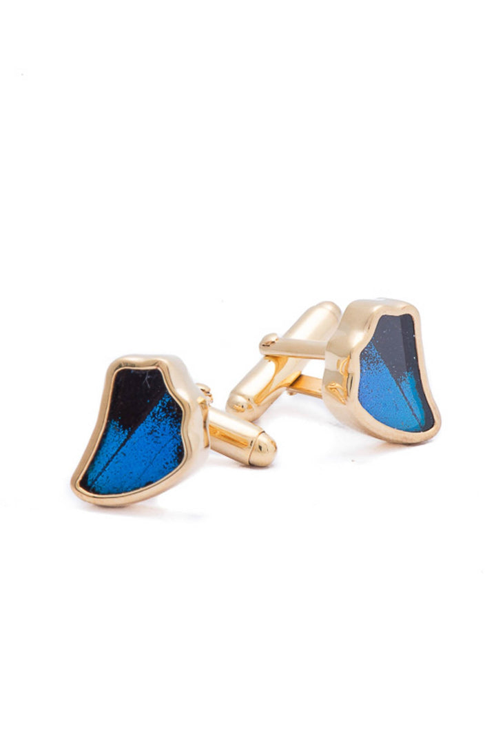 1-Real Butterfly Wings-A-SA-1B-Gold-butterfly-cufflinks-Royal-Blue-Wing-Shaped-Papilio-Ulysses