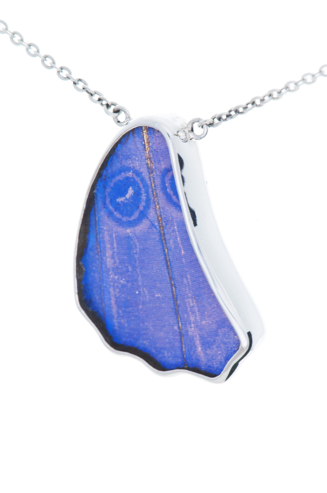 14--A-SC-1B-Silver-butterfly-necklace-Iridescent-Blue-Wing-Shaped-Morpho-Didius