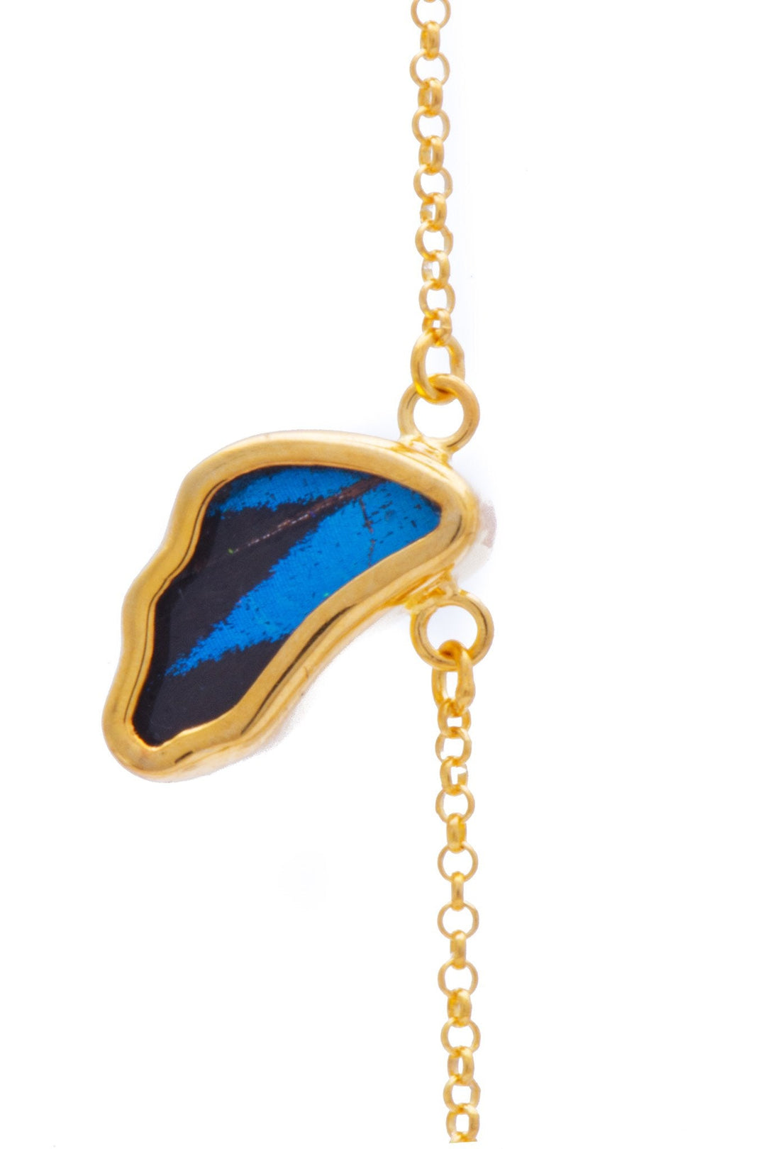 1-Real Butterfly Wings-A-SC-3B-Gold-butterfly-bracelet-Royal-Blue-Wing-Shaped-Papilio-Ulysses