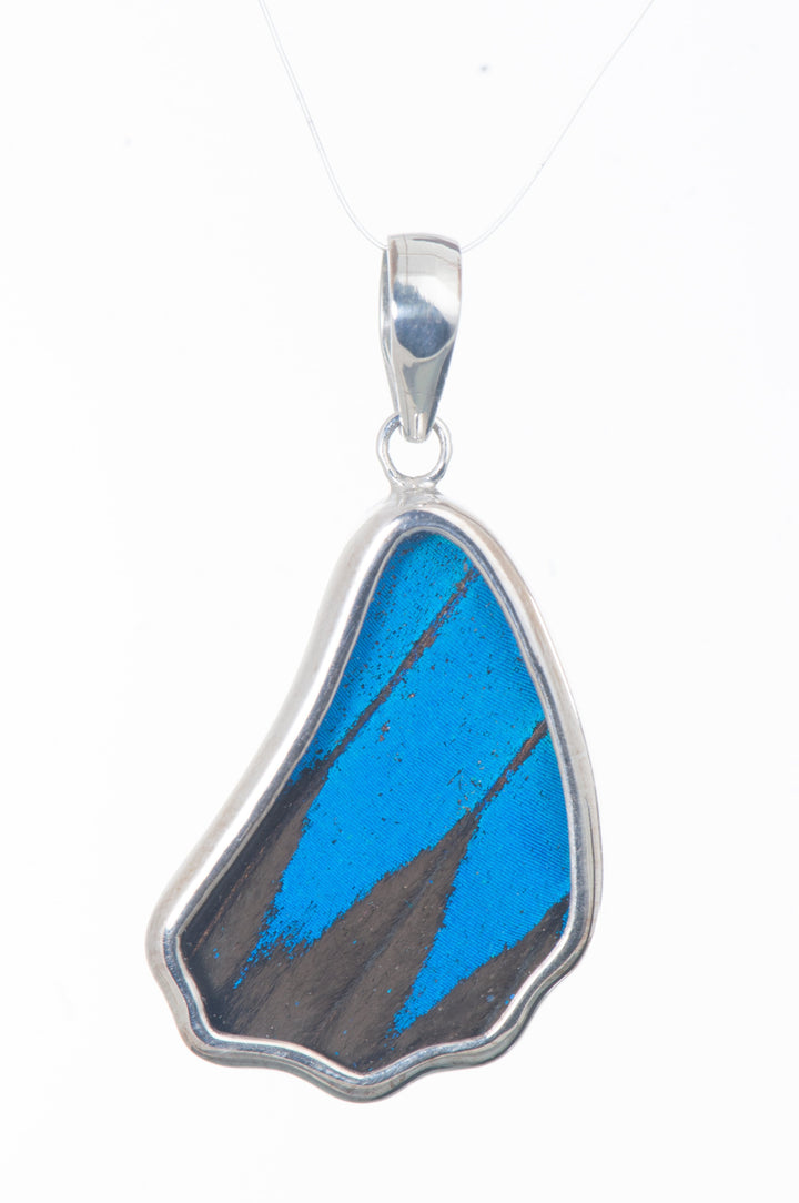 7--A-SB-1B-Silver-butterfly-pendant-Royal-Blue-Wing-Shaped-Papilio-Ulysses