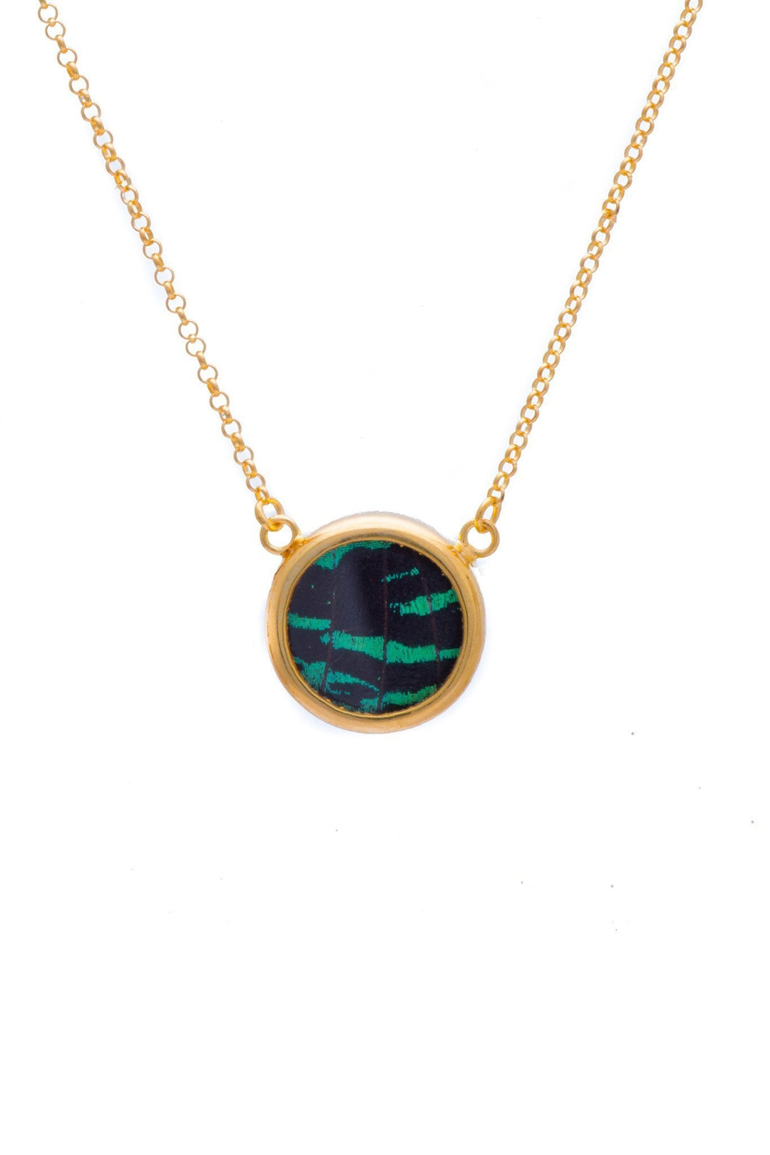 1-Real Butterfly Wings-A-SC-C1-Gold-butterfly-necklace-Shimmering-Green-Circle-Chrysiridia-Madagascariensis-Top-wing