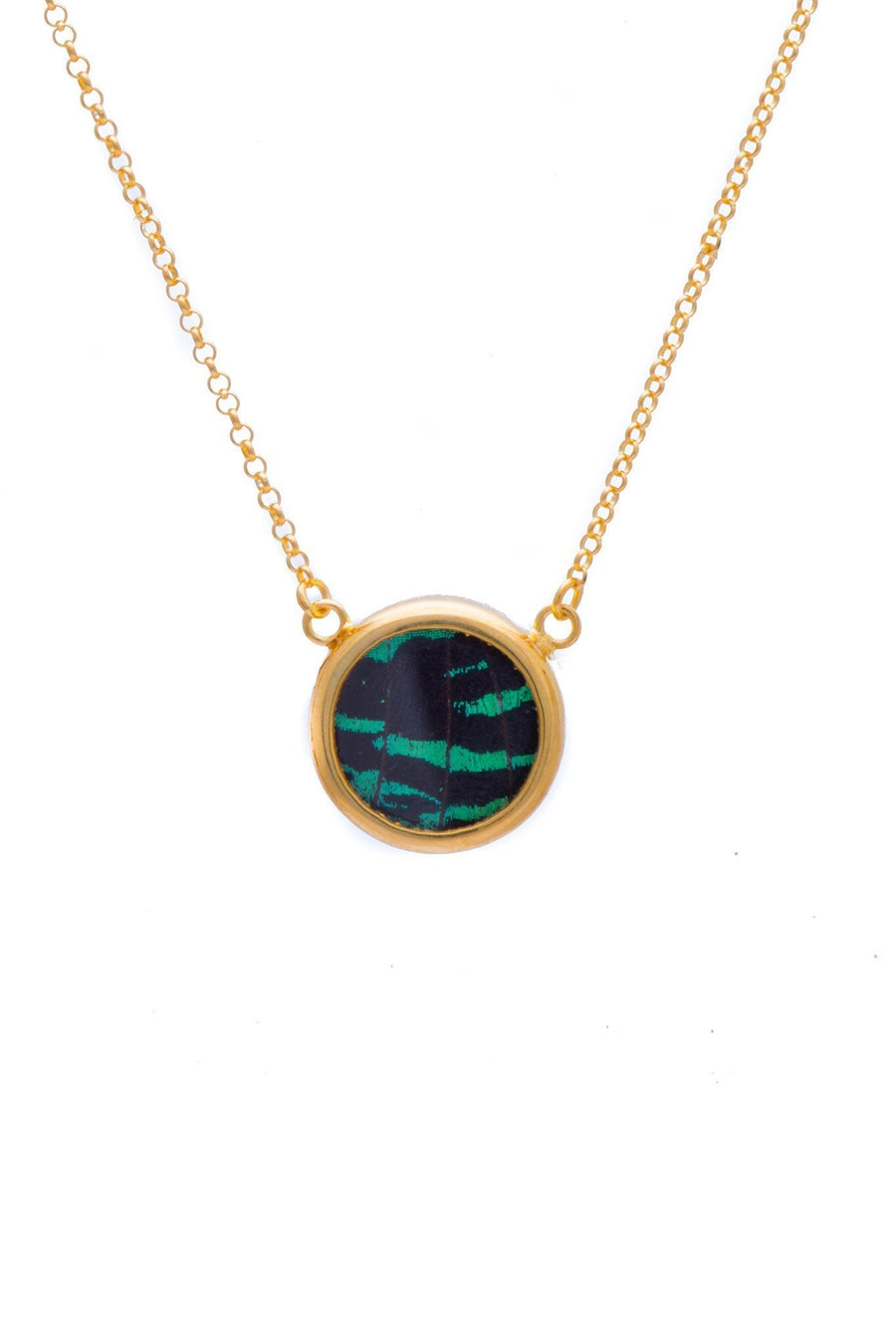 1-Real Butterfly Wings-A-SC-C1-Gold-butterfly-necklace-Shimmering-Green-Circle-Chrysiridia-Madagascariensis-Top-wing