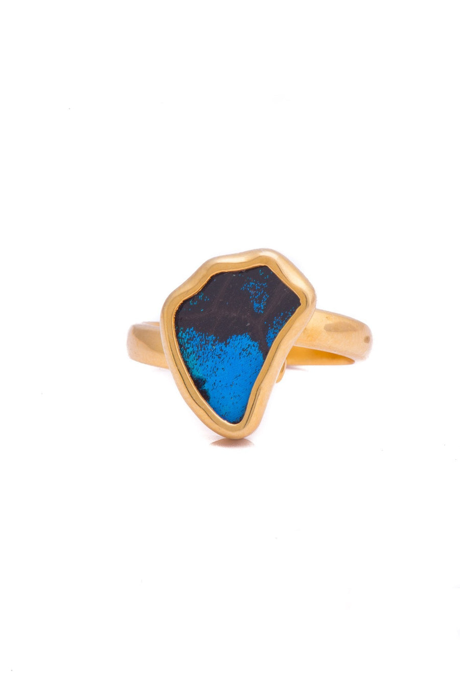 1-Real Butterfly Wings-A-SA-1B-Gold-butterfly-ring-Royal-Blue-Wing-Shaped-Papilio-Ulysses