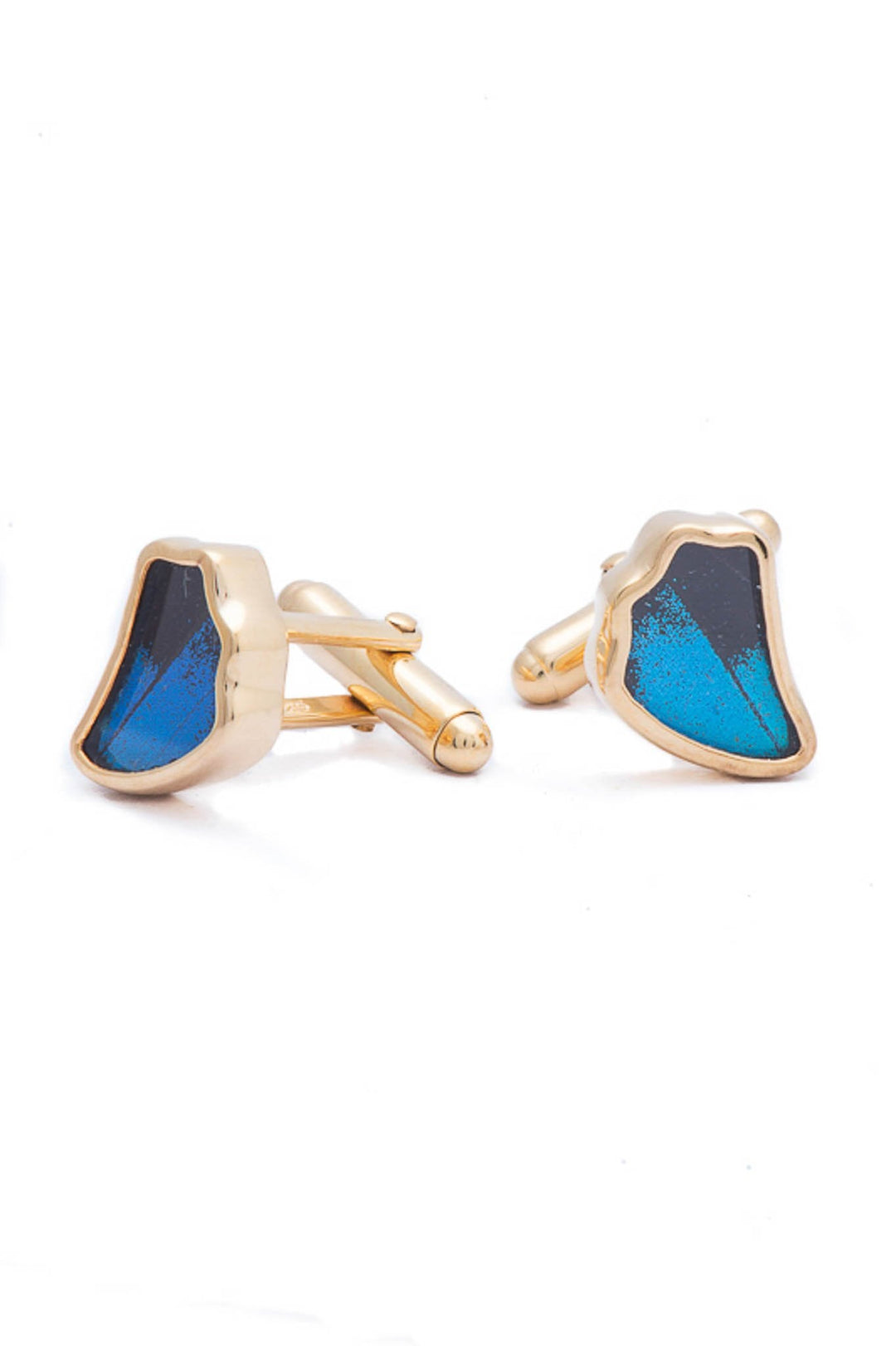 3--A-SA-1B-Gold-butterfly-cufflinks-Royal-Blue-Wing-Shaped-Papilio-Ulysses