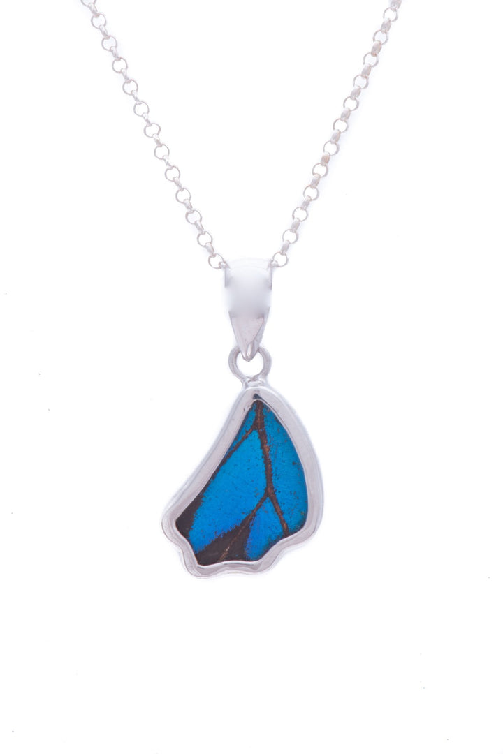 1-Real Butterfly Wings-A-SB-1B-Silver-butterfly-pendant-Royal-Blue-Wing-Shaped-Papilio-Ulysses