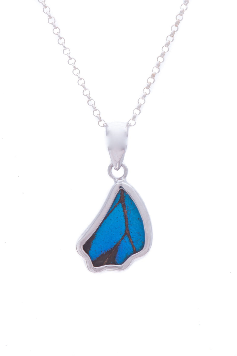 1-Real Butterfly Wings-A-SB-1B-Silver-butterfly-pendant-Royal-Blue-Wing-Shaped-Papilio-Ulysses