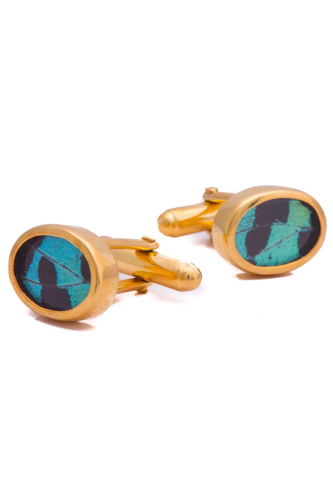 3--A-SA-O1-Gold-butterfly-cufflinks-Shimmering-Green-Oval-Chrysiridia-Madagascariensis-Top-wing