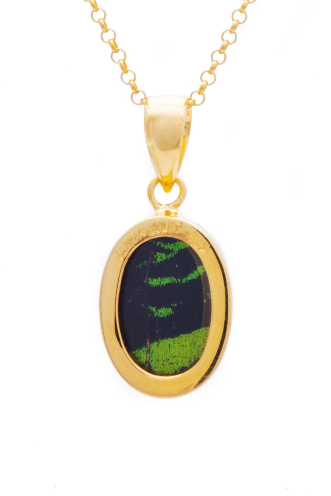 3--A-SB-O1-Gold-butterfly-pendant-Shimmering-Green-Oval-Chrysiridia-Madagascariensis-Top-wing
