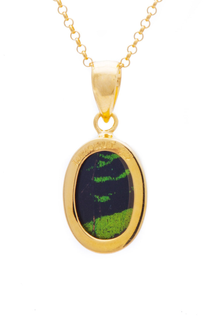 3--A-SB-O1-Gold-butterfly-pendant-Shimmering-Green-Oval-Chrysiridia-Madagascariensis-Top-wing