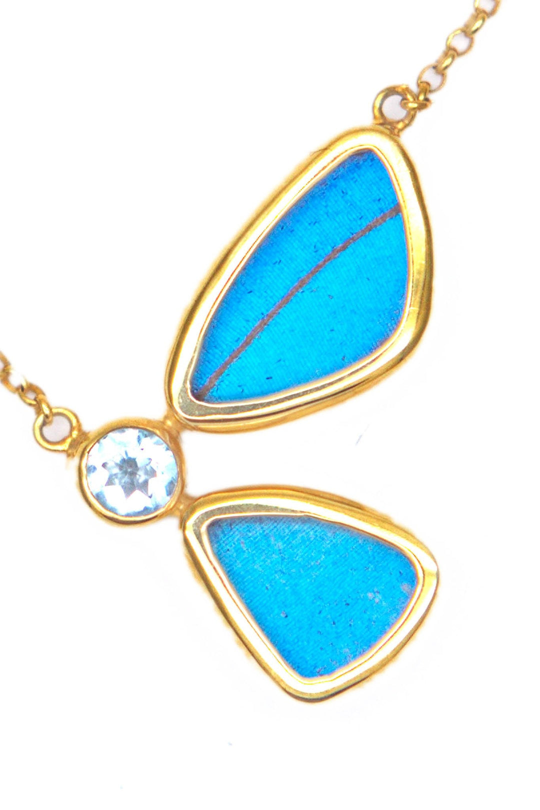 1-Real Butterfly Wings-A-2B-6F-Gold-butterfly-necklace-with-blue-topaz-birthstone-Iridescent-Blue-half-Morpho-Didius