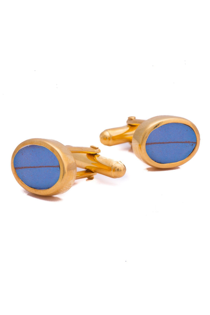 1-Real Butterfly Wings-A-SA-O1-Gold-butterfly-cufflinks-Iridescent-Blue-Oval-Morpho-Didius