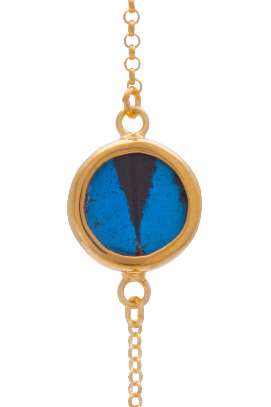 1-Real Butterfly Wings-A-SC-C1-Gold-butterfly-bracelet-Royal-Blue-Circle-Papilio-Ulysses