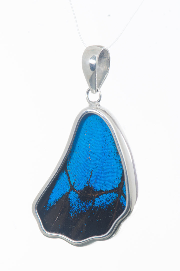 5--A-SB-1B-Silver-butterfly-pendant-Royal-Blue-Wing-Shaped-Papilio-Ulysses