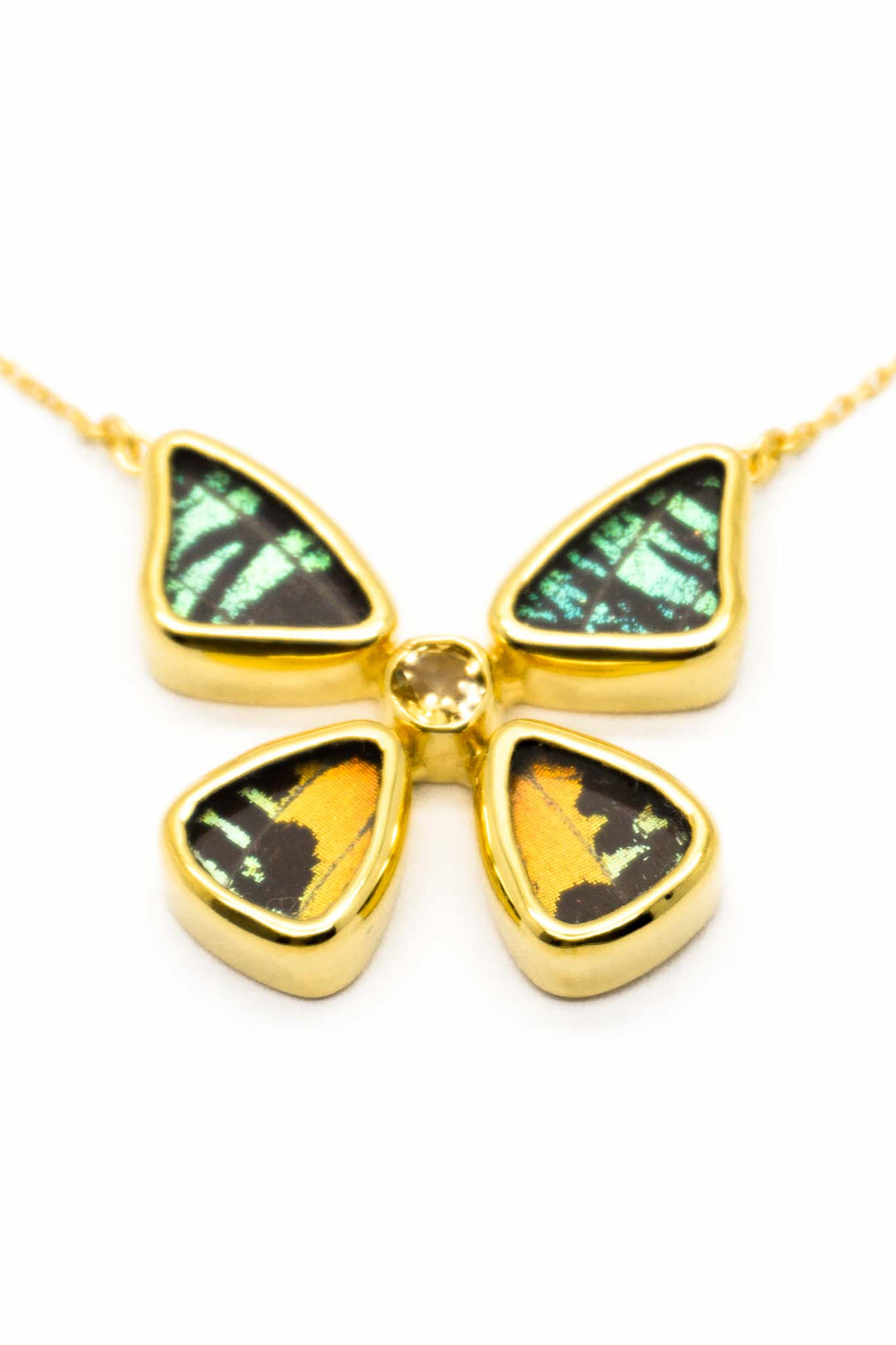 1-Real Butterfly Wings-A-4B-2F-Gold-butterfly-necklace-with-citrine-birthstone-Shimmering-Rainbow-Green-Chrysiridia-Madagasca