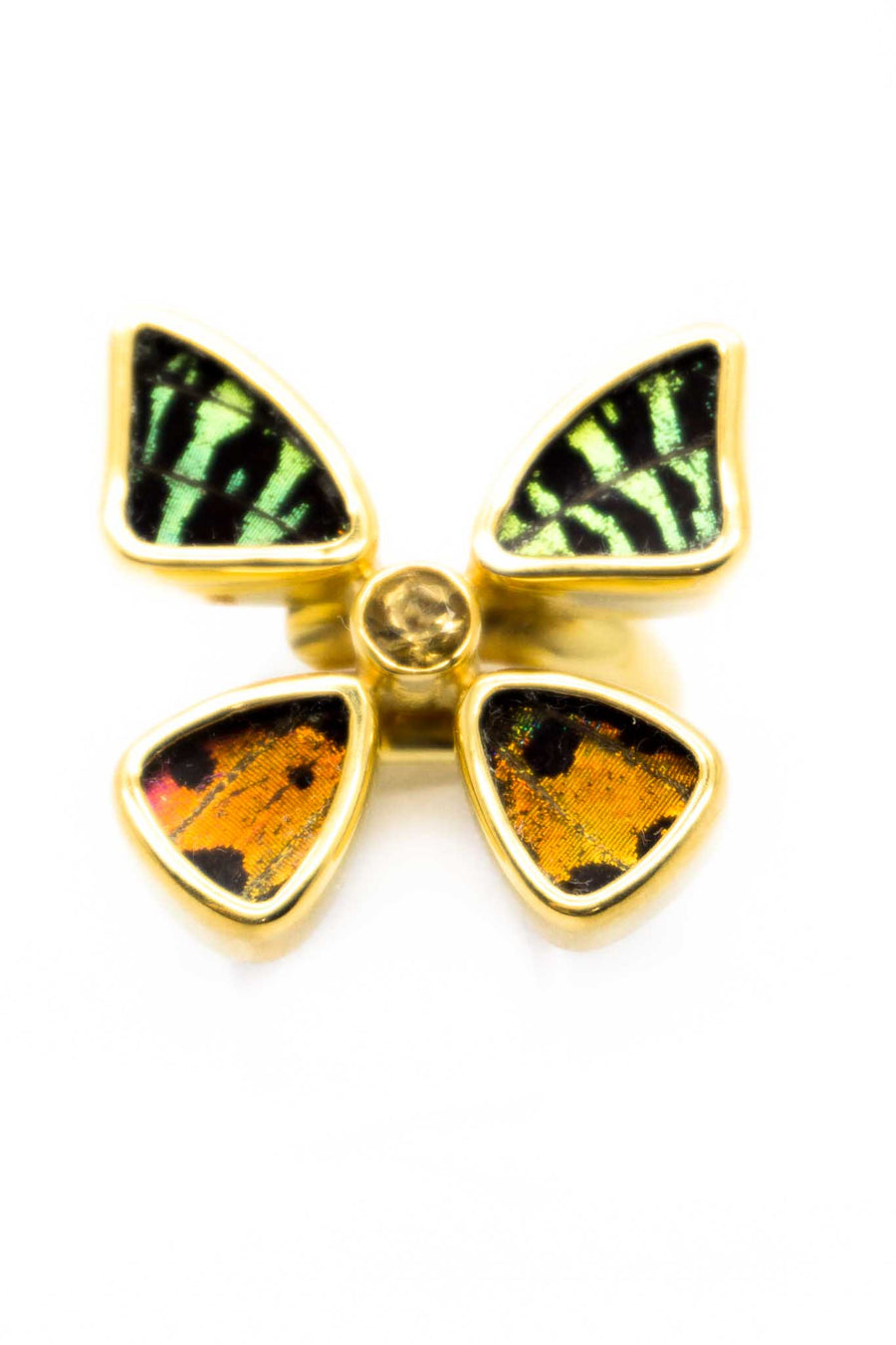 1-Real Butterfly Wings-A-4D-2F-Gold-butterfly-ring-with-citrine-birthstone-Shimmering-Rainbow-Green-Chrysiridia-Madagascarien
