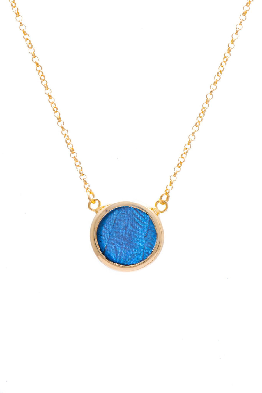 1-Real Butterfly Wings-A-SC-C1-Gold-butterfly-necklace-Iridescent-Blue-Circle-Morpho-Didius