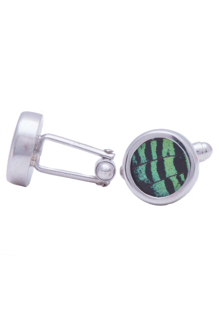 2--A-SA-C1-Silver-butterfly-cufflinks-Shimmering-Green-Circle-Chrysiridia-Madagascariensis-Top-wing