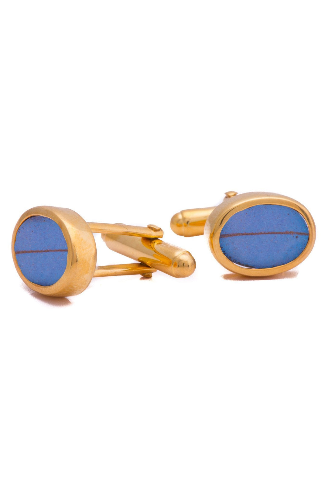 2--A-SA-O1-Gold-butterfly-cufflinks-Iridescent-Blue-Oval-Morpho-Didius