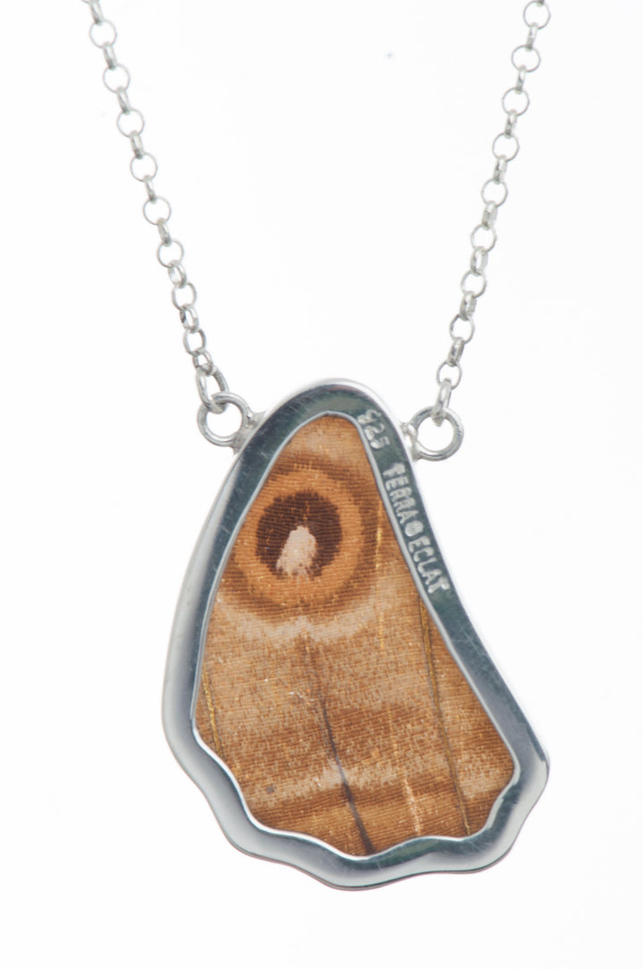 12--A-SC-1B-Silver-butterfly-necklace-Iridescent-Blue-Wing-Shaped-Morpho-Didius