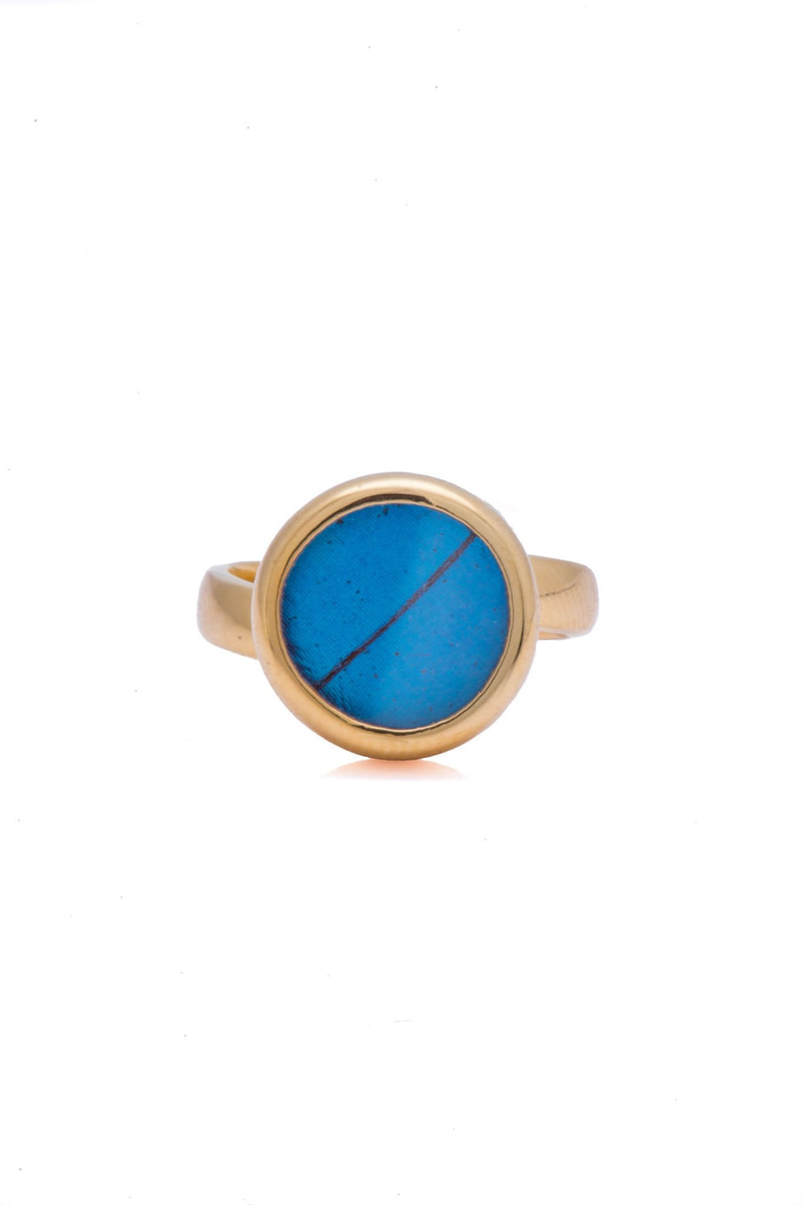 1-Real Butterfly Wings-a-sa-c1-gold-butterfly-ring-iridescent-blue-circle-morpho-didius