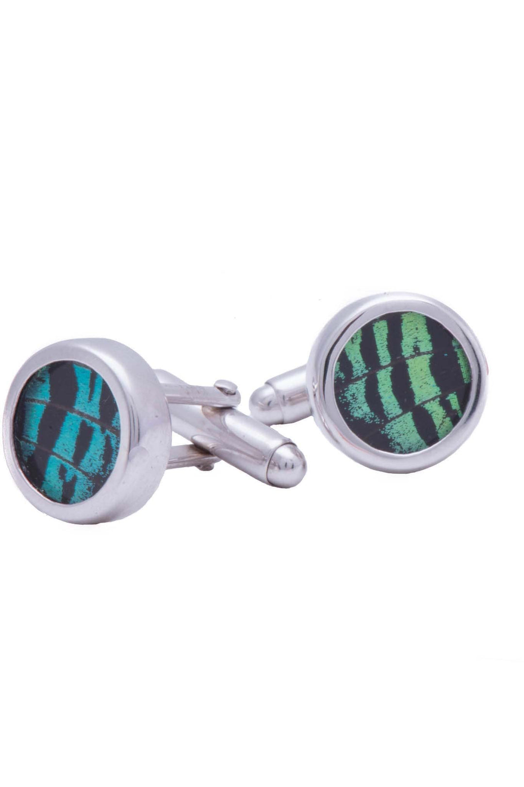 1-Real Butterfly Wings-A-SA-C1-Silver-butterfly-cufflinks-Shimmering-Green-Circle-Chrysiridia-Madagascariensis-Top-wing
