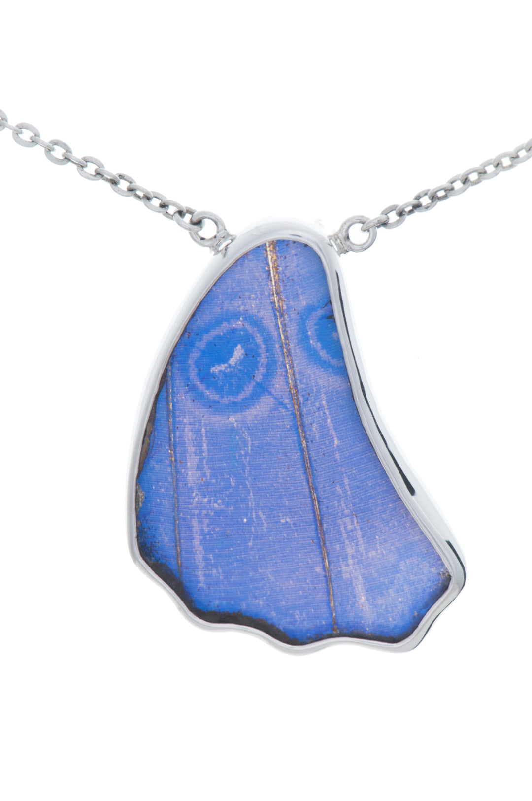 13--A-SC-1B-Silver-butterfly-necklace-Iridescent-Blue-Wing-Shaped-Morpho-Didius
