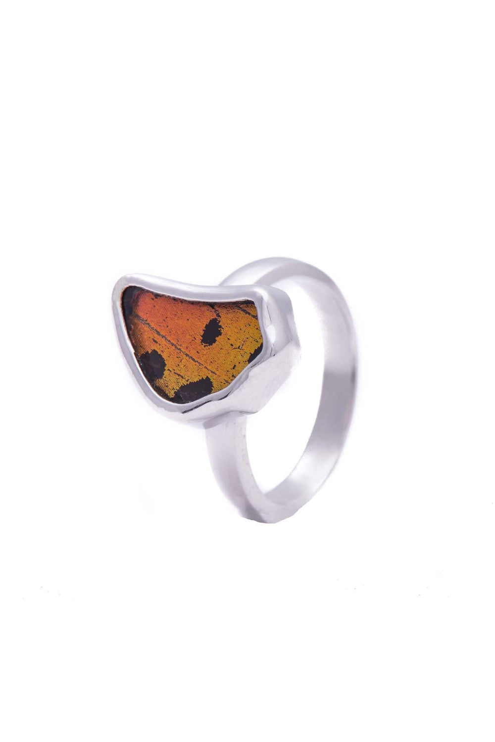 2--a-sa-1b-silver-butterfly-ring-shimmering-rainbow-wing-shaped-chrysiridia-madagascariensis-bottom-wing