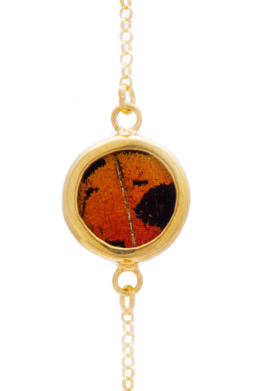 1-Real Butterfly Wings-A-SC-C1-Gold-butterfly-bracelet-Shimmering-Rainbow-Circle-Chrysiridia-Madagascariensis-Bottom-wing