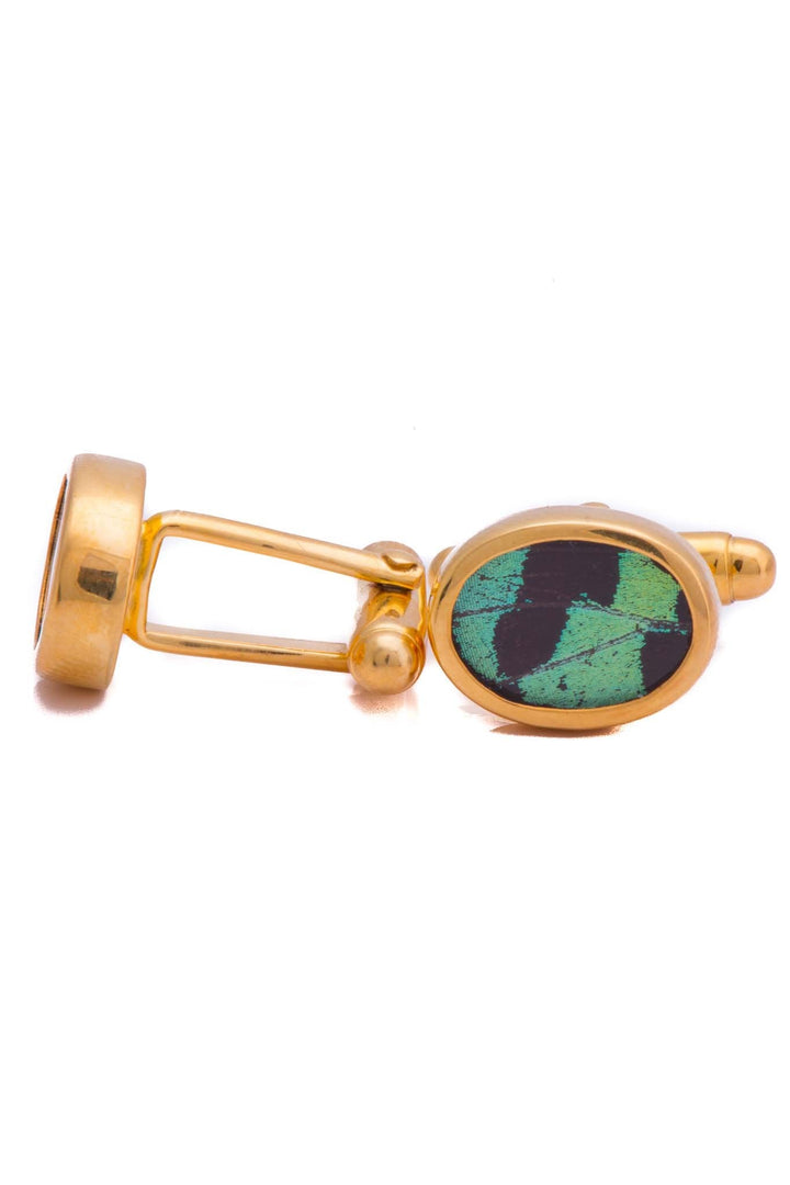 2--A-SA-O1-Gold-butterfly-cufflinks-Shimmering-Green-Oval-Chrysiridia-Madagascariensis-Top-wing