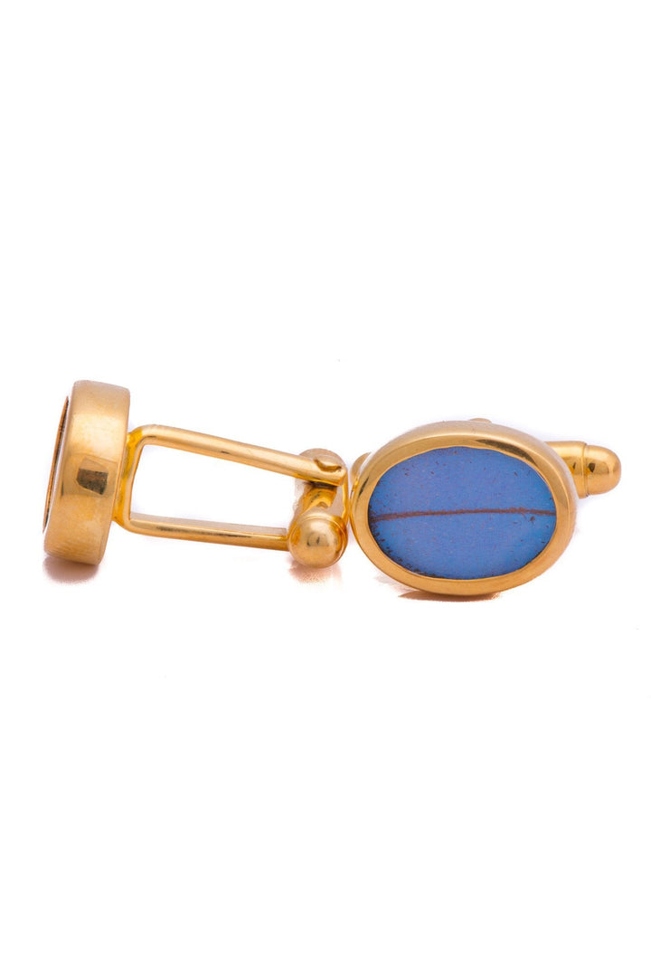 3--A-SA-O1-Gold-butterfly-cufflinks-Iridescent-Blue-Oval-Morpho-Didius