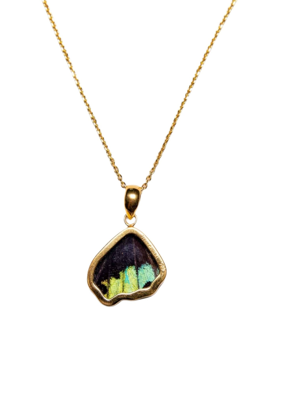 2--A-SB-5B-Gold-butterfly-pendant-Shimmering-Rainbow-Wing-Shaped-Chrysiridia-Madagascariensis-Bottom-wing