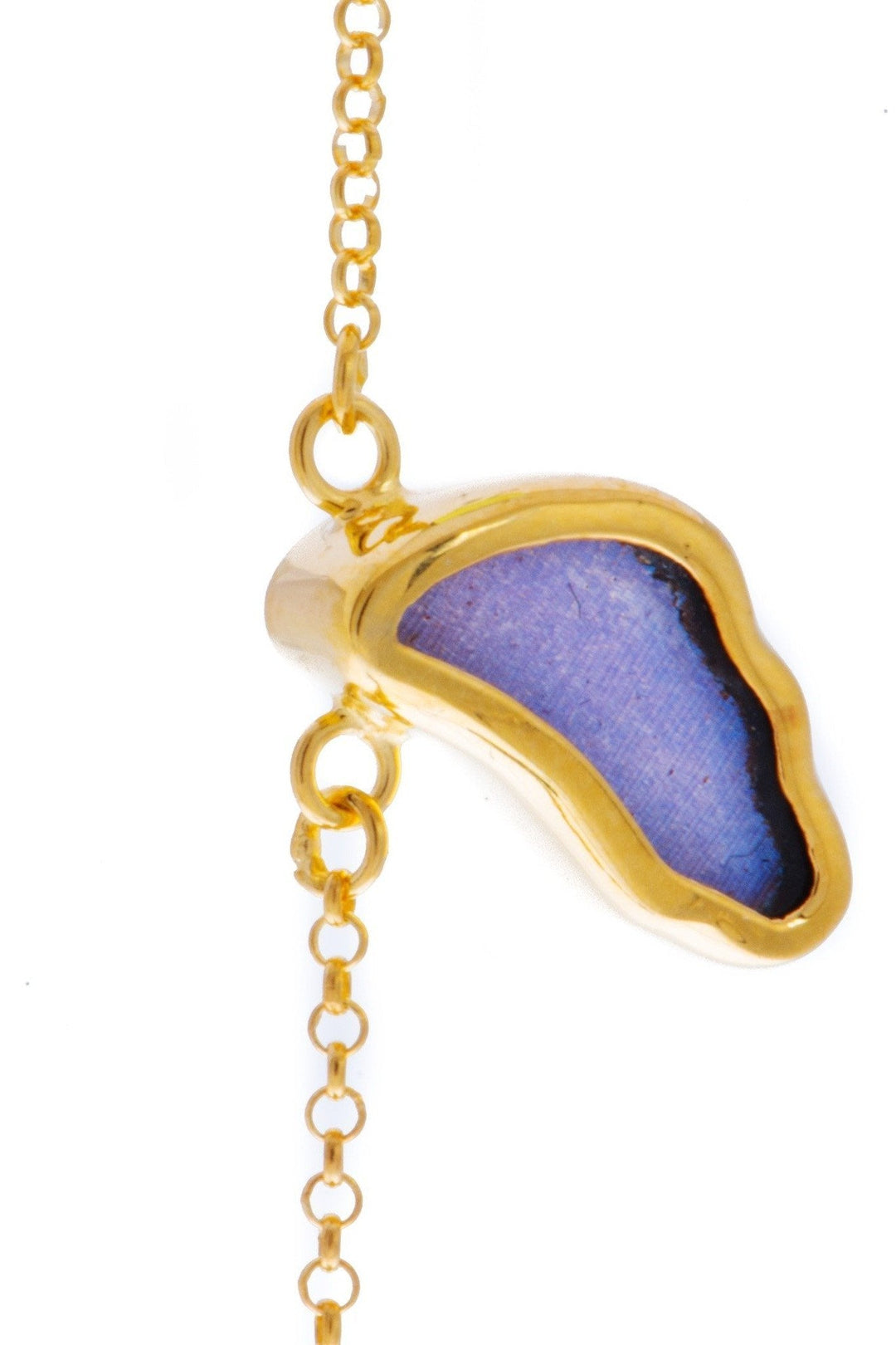 2--A-SC-1B-Gold-butterfly-bracelet-Iridescent-Blue-Wing-Shaped-Morpho-Didius