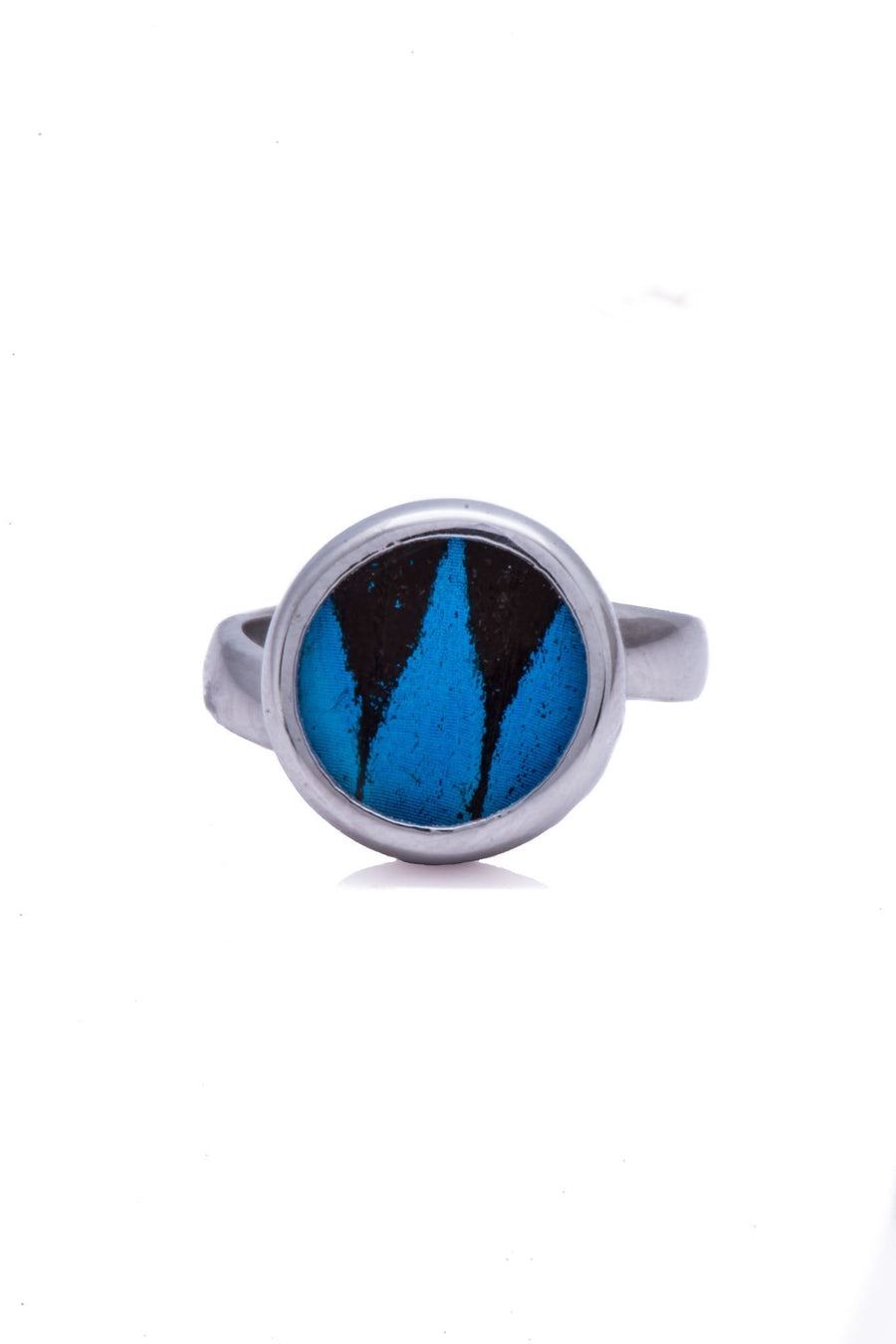 1-Real Butterfly Wings-A-SA-C1-Silver-butterfly-ring-Royal-Blue-Circle-Papilio-Ulysses