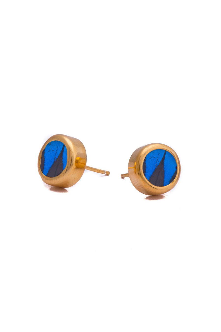 1-Real Butterfly Wings-A-SA-C1-Gold-butterfly-earrings-Royal-Blue-Circle-Papilio-Ulysses