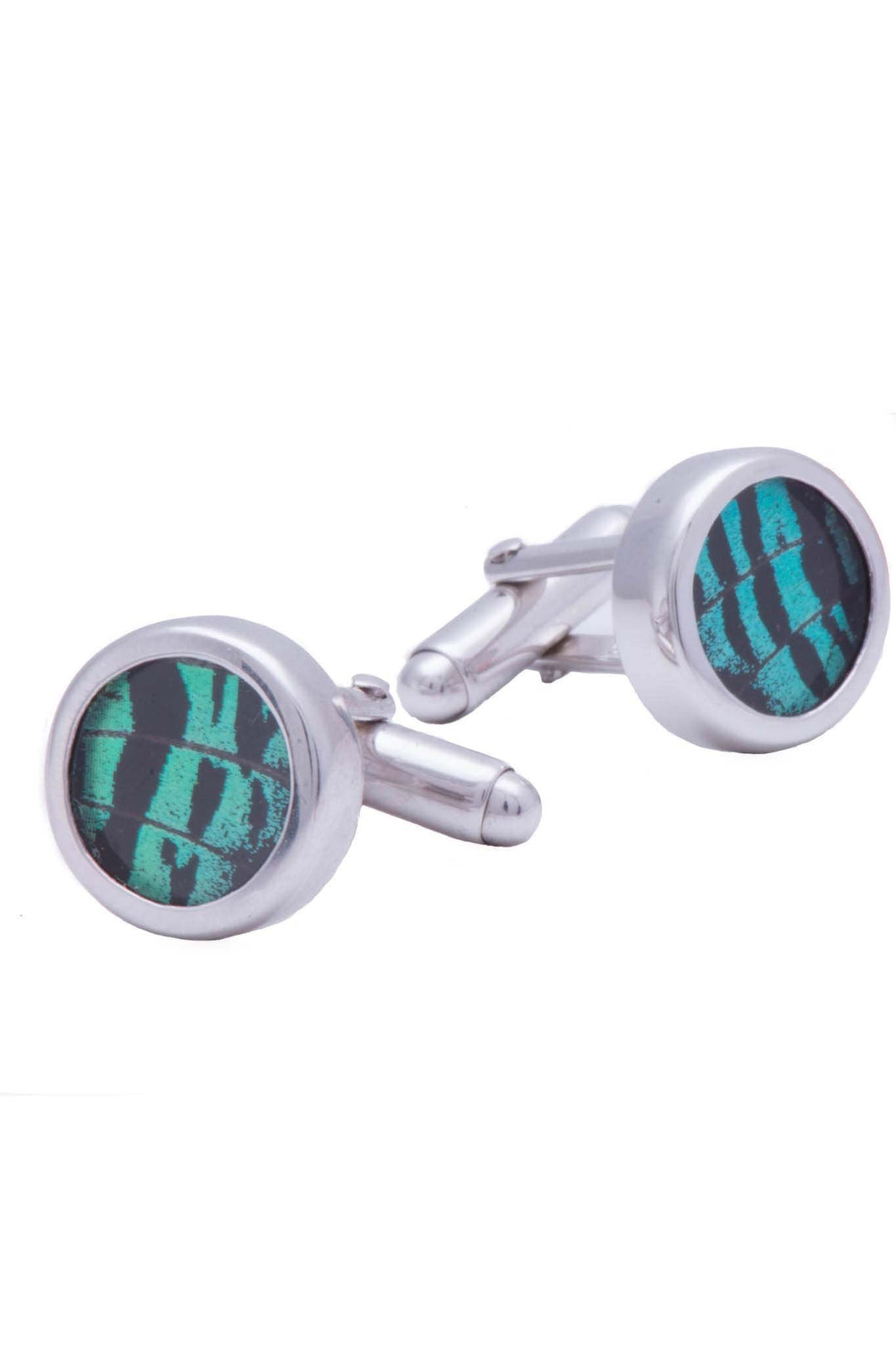 3--A-SA-C1-Silver-butterfly-cufflinks-Shimmering-Green-Circle-Chrysiridia-Madagascariensis-Top-wing
