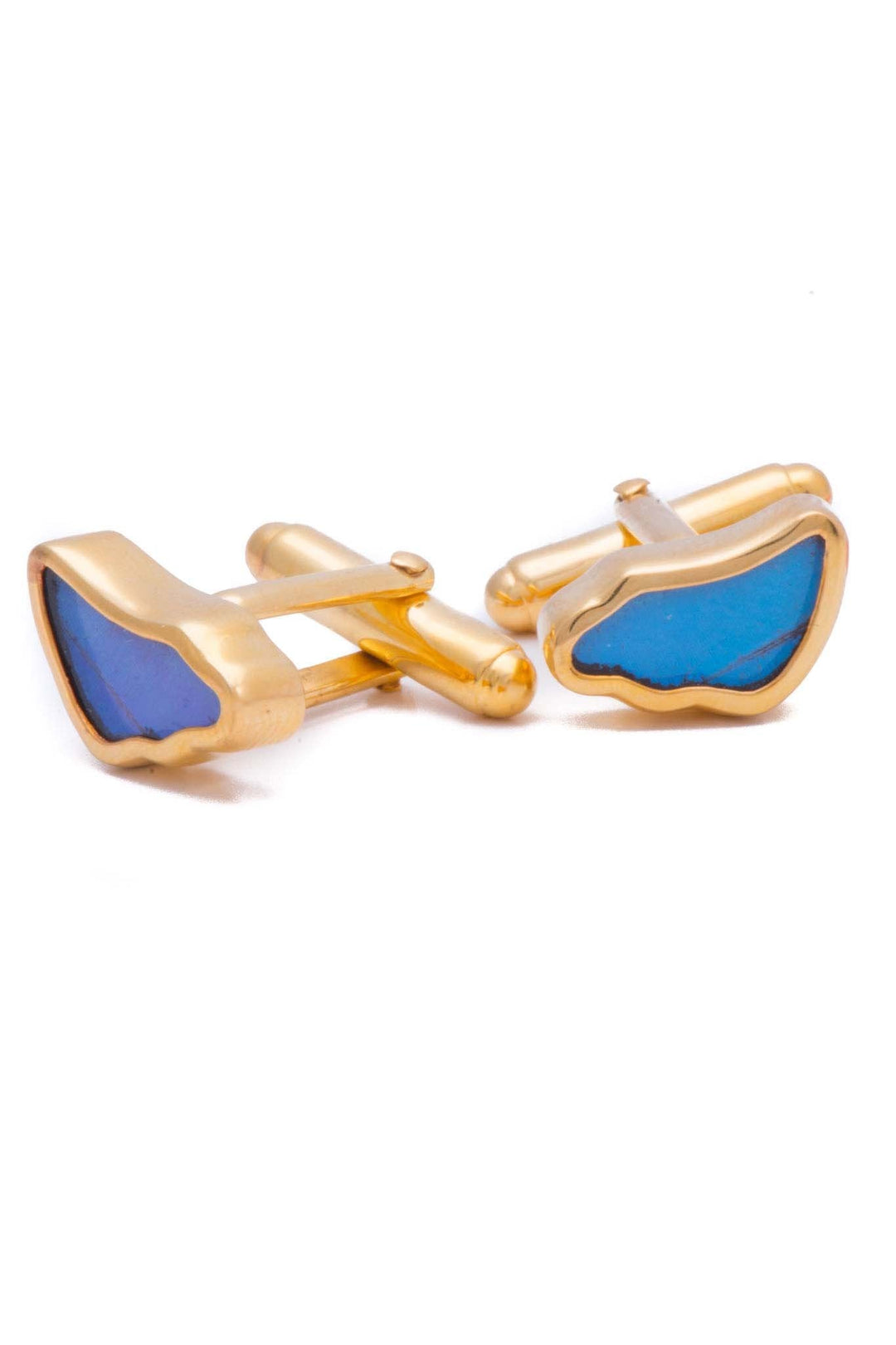 1-Real Butterfly Wings-A-SA-3B-Gold-butterfly-cufflinks-Iridescent-Blue-Wing-Shaped-Morpho-Didius