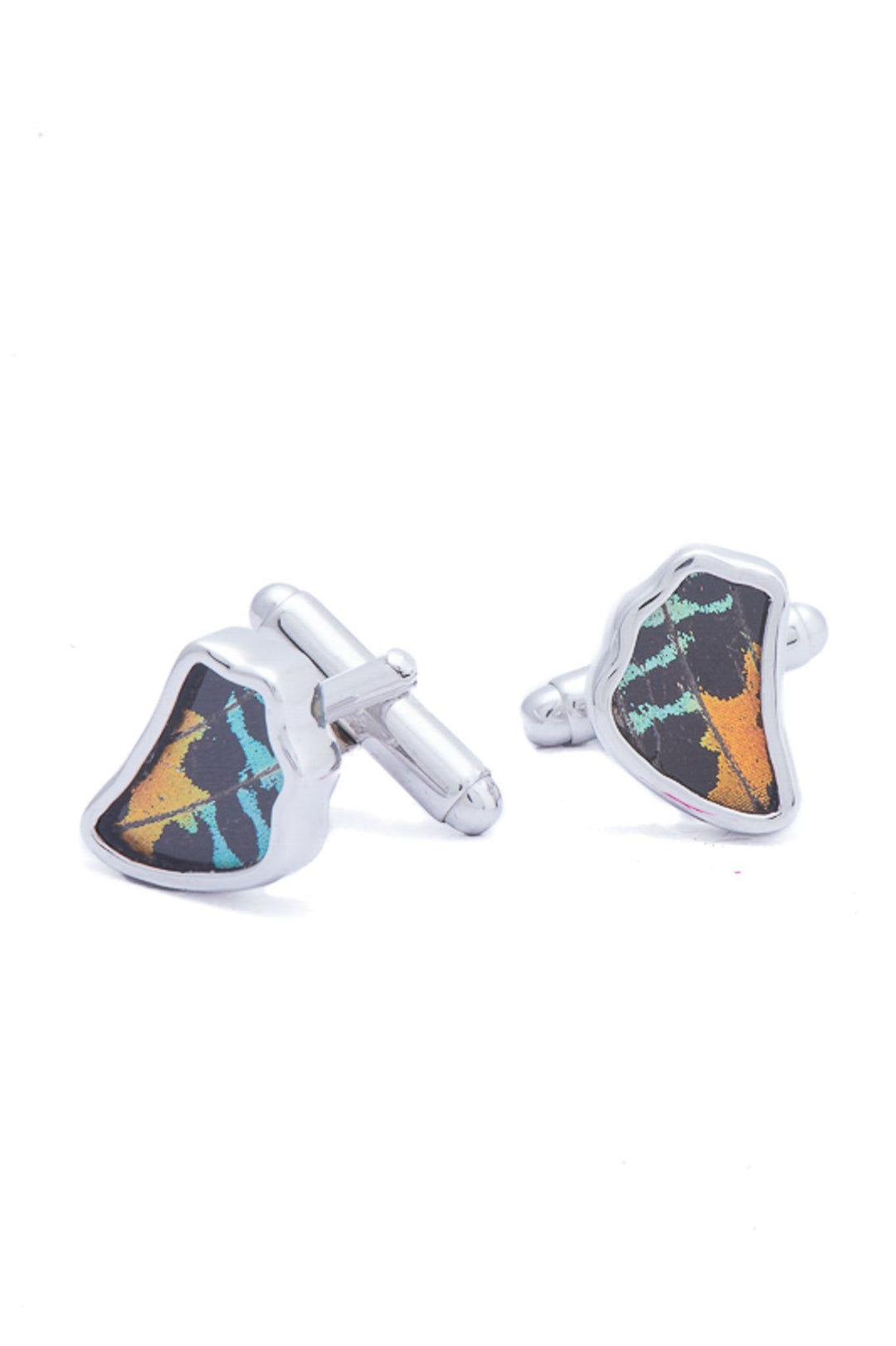 3--A-SA-1B-Silver-butterfly-cufflinks-Shimmering-Rainbow-Wing-Shaped-Chrysiridia-Madagascariensis-Bottom-wing