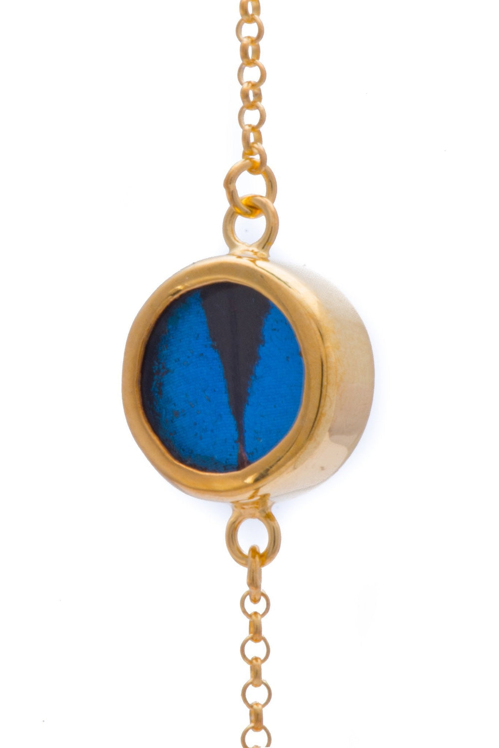 2--A-SC-C1-Gold-butterfly-bracelet-Royal-Blue-Circle-Papilio-Ulysses