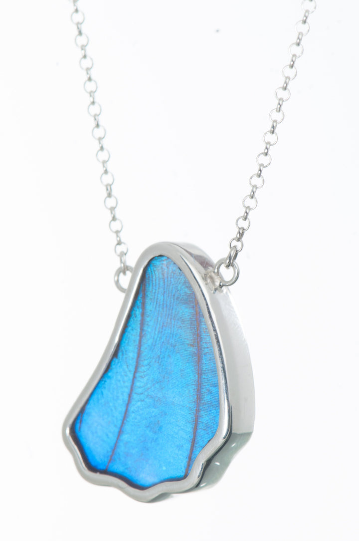 10--A-SC-1B-Silver-butterfly-necklace-Iridescent-Blue-Wing-Shaped-Morpho-Didius