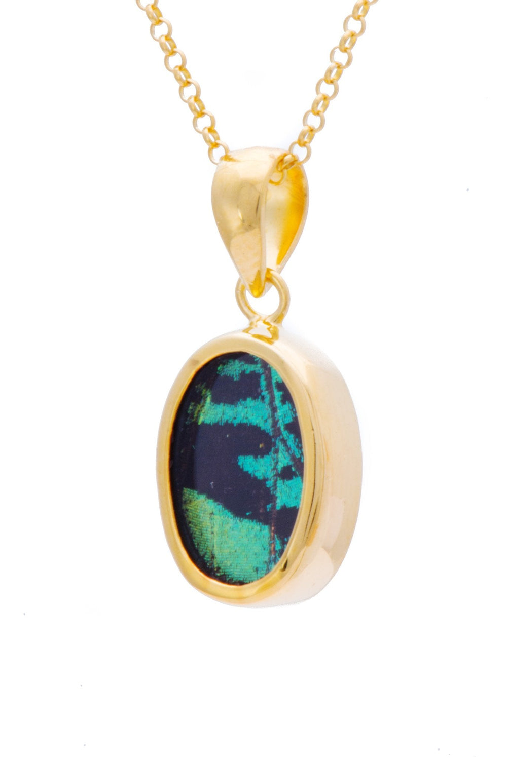 2--A-SB-O1-Gold-butterfly-pendant-Shimmering-Green-Oval-Chrysiridia-Madagascariensis-Top-wing